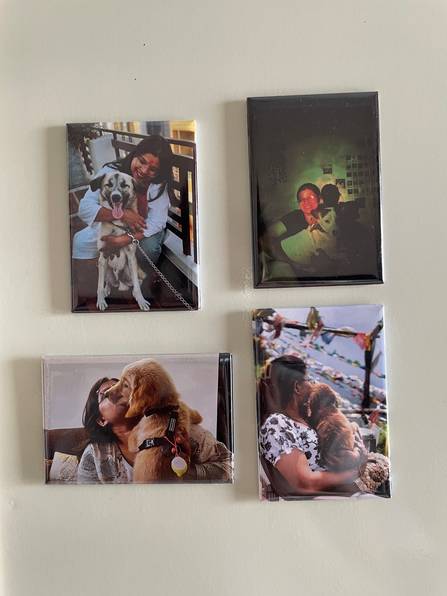 Polaroid Magnets